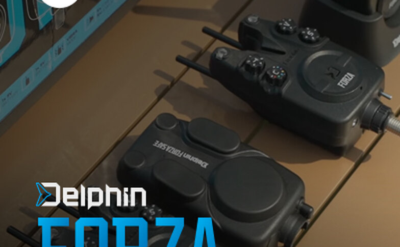 Delphin FORZA
