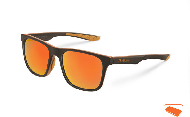 Lunettes polarisées Delphin
