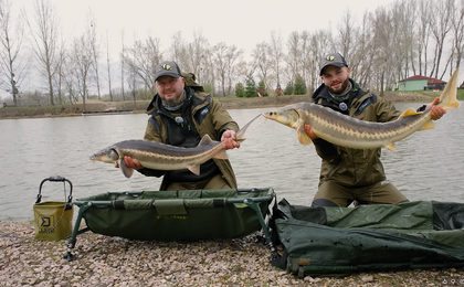 Delphin QUIX METHOD FEEDER, 2e partie Cannes et accessoires