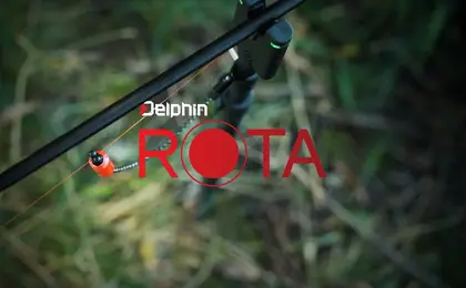 Delphin ROTA Chain