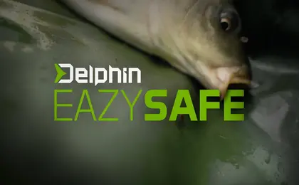 Delphin Eazy SAFE
