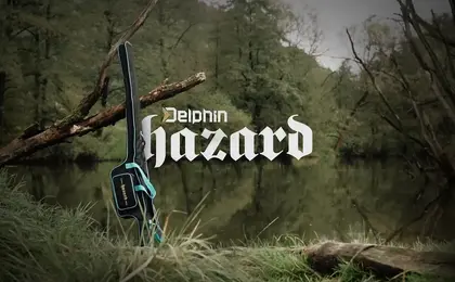 Delphin HAZARD