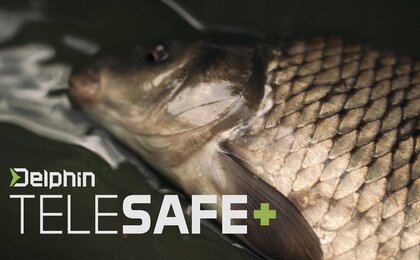 DelphinTeleSAFE+