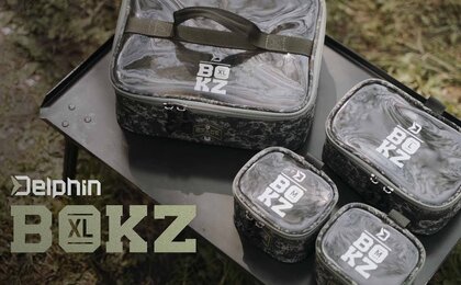 Delphin 4xBokz SPACE
