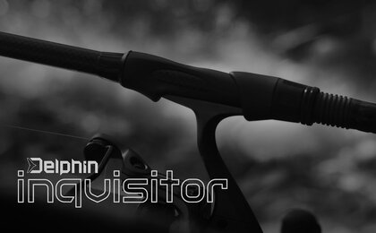 Delphin INQVISITOR