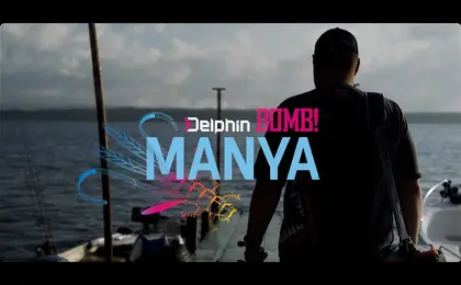 Nymfa Delphin MANYA UVs