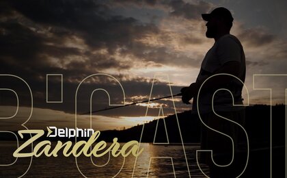 Delphin Zandera B-CAST