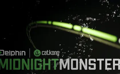 Delphin MIDNIGHT MONSTER