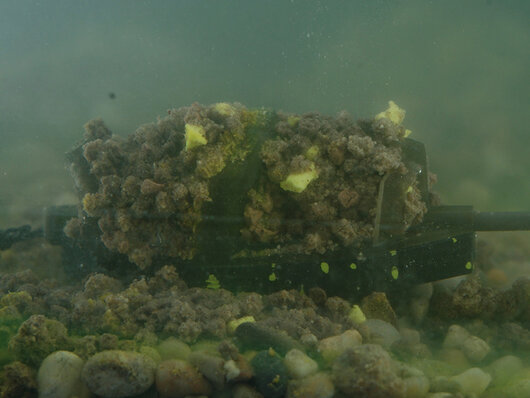 Feeder sans plomb delphin method quix eco - 101006012_5