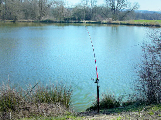 Support silure delphin energy - 101005679_8