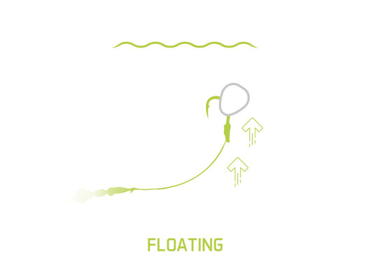 Appât artificiel delphin corenx pop up / ail - 101005770_2