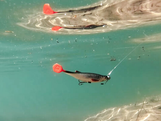 Leurre artificiel delphin realix 3d / 2 pcs - 101005616_93