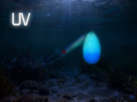 Rotačka delphin arch - 101005718_9