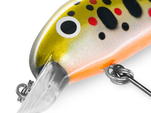 Poisson-nageur delphin wobby trout-sh - 101007027_91
