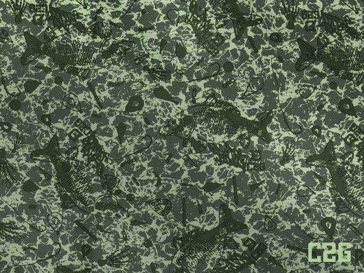 Taška na bižutériu a nadväzce Delphin RigSTATION SPACE C2G