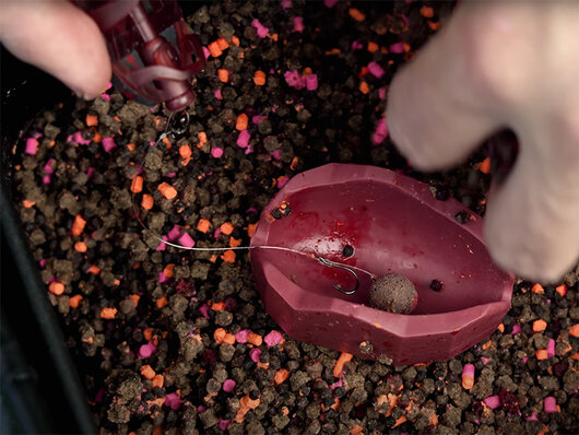 Forma Delphin Method QUIX