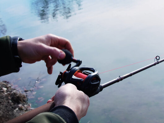 Delphin RUNIX | 6+1 SS BB