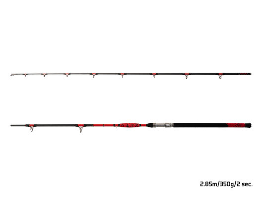 Delphin DANGER CatFISH | 255cm/350g/2diely