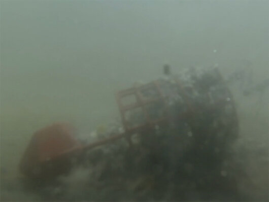 Krmítko Delphin LongSHOT+ | M 30g