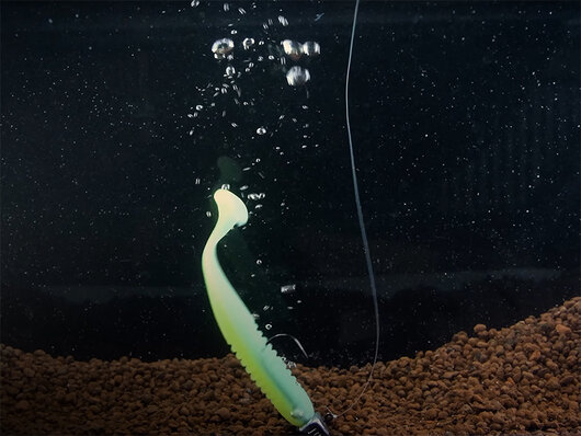 Jigová hlava s golierikom Delphin TRIAD / 5ks