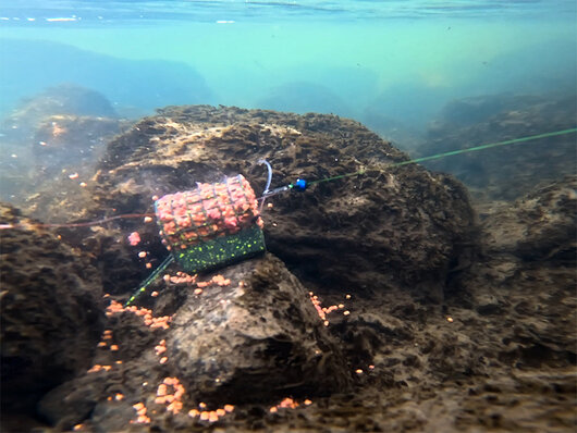 Krmítko s olovenou záťažou Delphin RiverSTIX