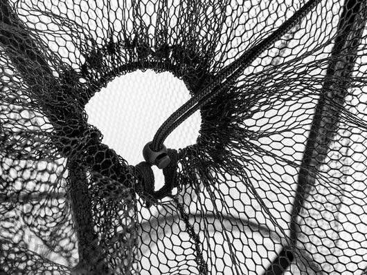 Plávajúca sieťka na nástrahové ryby Delphin BaitPOOL