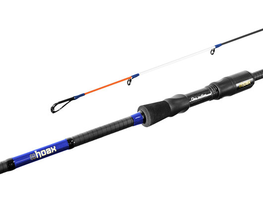 Delphin HOAX / 1 diel