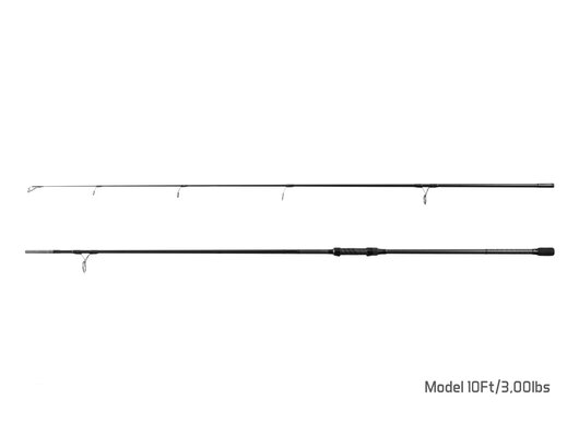 Delphin PARANOYA / 2 diely