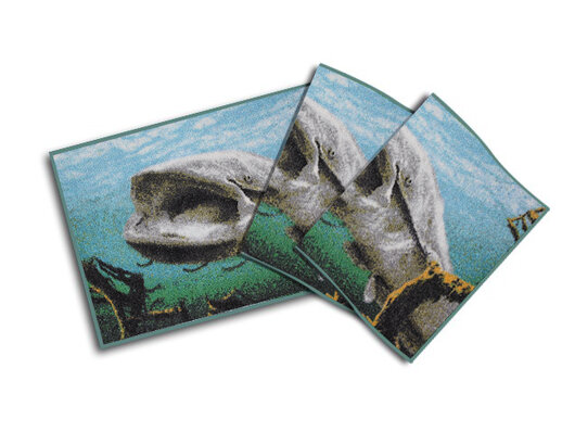 Rohož 3D sumec pod hladinou