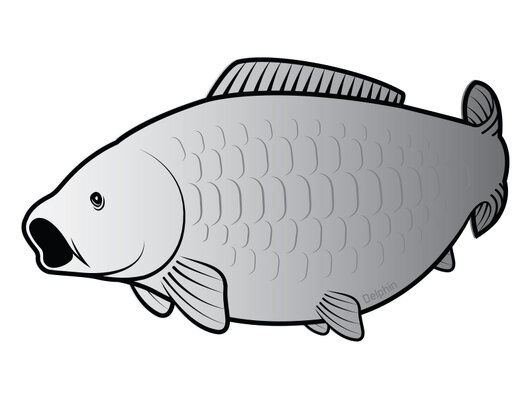 Nálepka kapor SILVER