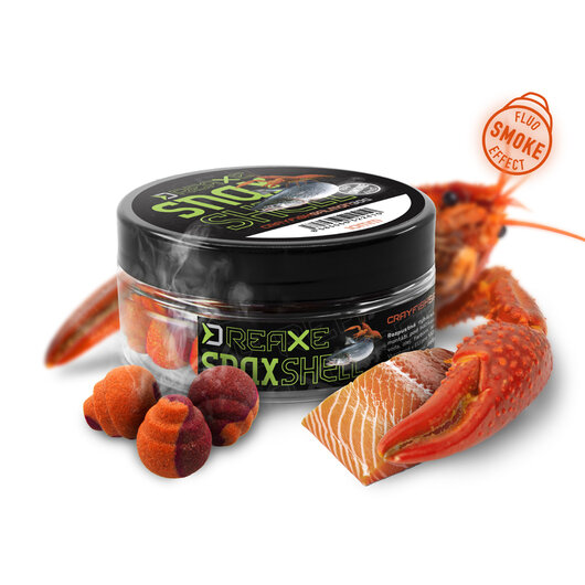 Appât d snax shell / prune – mûrier - 101006460