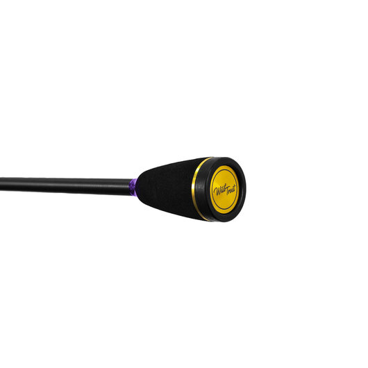 Delphin WILD TROUT / 2 diely | 180cm/0,5-6g