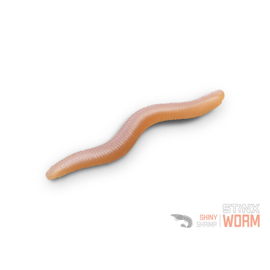 Umelá nástraha Delphin B! StinxWORM Garlic / 50ks