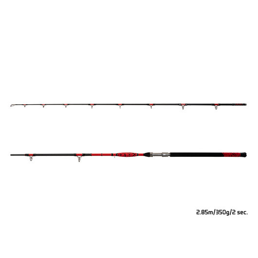 Delphin DANGER CatFISH | 255cm/350g/2diely