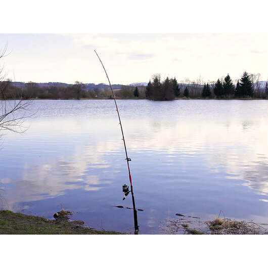 Delphin DANGER CatFISH | 255cm/350g/2diely