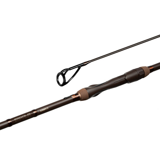 Delphin IMPALA Carp V3 | 300cm/2,75lbs/2diely