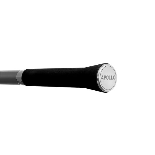 Delphin APOLLO GenerationX | 360cm/5lbs/2 diely