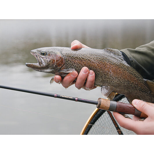 Delphin TROUTERA SoftLURE