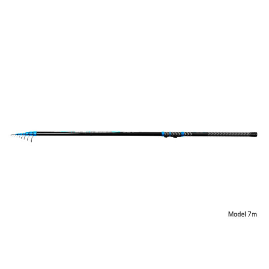 Delphin XENOX