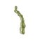 Bas de ligne delphin scamo skin rig / 2 pcs - CLAMZ_0001