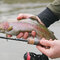 Delphin troutera hardlure - 101005783_9