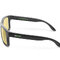 Lunettes polarisantes delphin wizio - 101005673_2