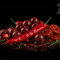 Bouillettes dippées delphin breax/hothell - 101007161_2