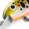 Poisson-nageur delphin wobby trout-sh - 101007027_91