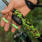 Lead-free sinker delphin ecocatf roll rubber - 101006517_3
