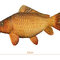 Peluche carpe delphin carpy - 101006075_1