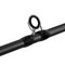 Delphin Zandera B-CAST