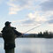 Delphin AERIS Feeder | 345cm/70g/3diely