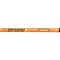 Delphin INFERNO Pole | 3m