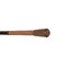 Delphin IMPALA Carp V3 | 300cm/2,75lbs/2diely